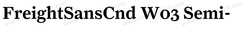 FreightSansCnd W03 Semi字体转换